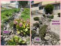 /album/domov-n-o-domov-socialnych-sluzieb/uprava-jazierka-jpg1/